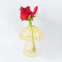 Load image into Gallery viewer, 45454228553894