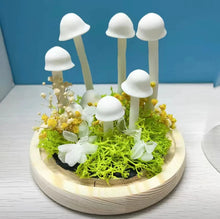 Load image into Gallery viewer, Mushroom Lamp Cute and Creative Night Light DIY Material Pack for Birthday Gifts to Friends, Desktop Decoration for Lover Girls