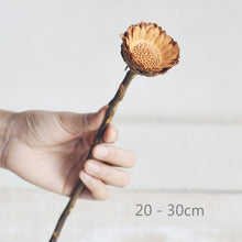 Load image into Gallery viewer, Floral Dried