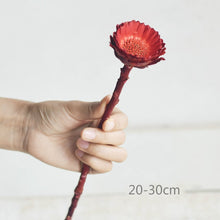 Load image into Gallery viewer, Floral Dried