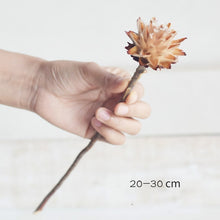 Load image into Gallery viewer, Floral Dried