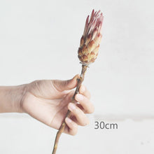 Load image into Gallery viewer, Floral Dried
