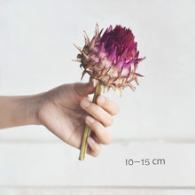 Load image into Gallery viewer, Floral Dried