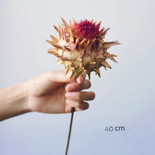 Load image into Gallery viewer, Floral Dried