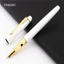 Load image into Gallery viewer, Fine Fountain Pen