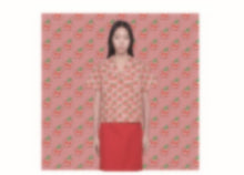 Load image into Gallery viewer, Italian Brand Printed Fabric