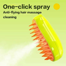 Load image into Gallery viewer, Cat Steam Brush  3 in 1 Electric Spray Cat Hair Brushes for Massage
