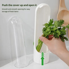 Load image into Gallery viewer, Refrigerator Herb Crisper Saver Pod Container Vegetable Preserving Bottle Keep Herb/Cilantro/Mint/Parsley/Asparagus Fresh Green
