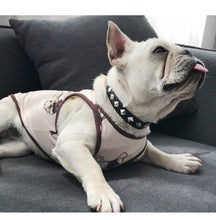 Load image into Gallery viewer, dog Mom  outfit  Design
