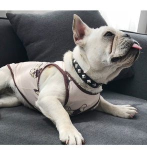 dog Mom  outfit  Design