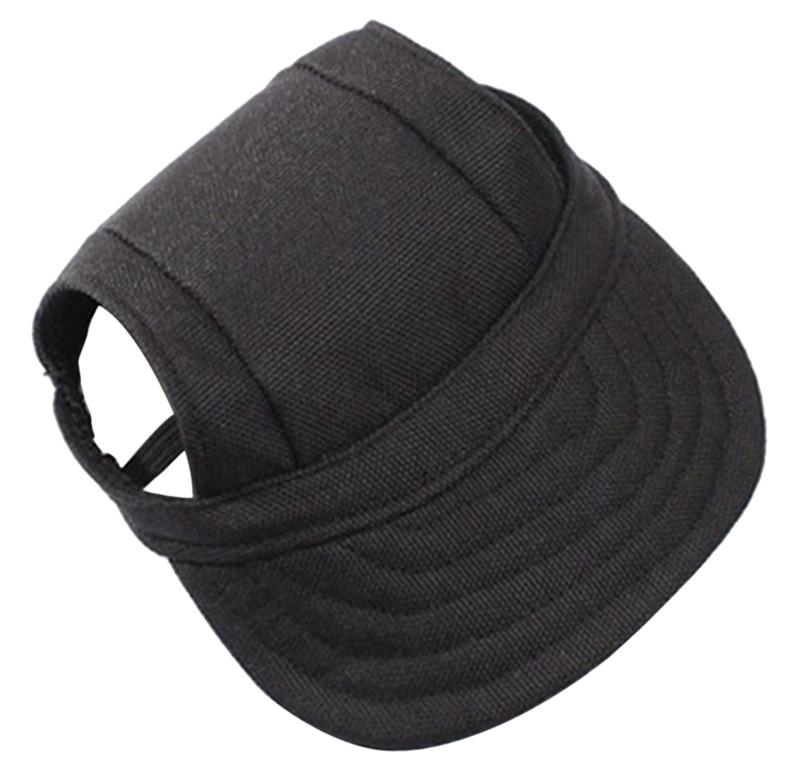 Dog  Hat Puppy Outdoor
