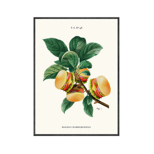 Kitchen Wall Art Plant Funny Posters