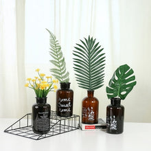 Load image into Gallery viewer, Carlo Hydroponic Bottle Glass Vase
