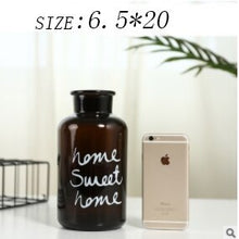 Load image into Gallery viewer, Carlo Hydroponic Bottle Glass Vase
