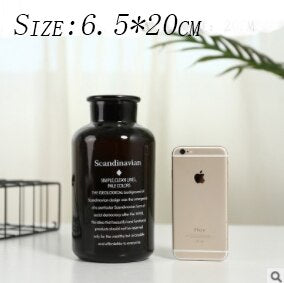 Carlo Hydroponic Bottle Glass Vase