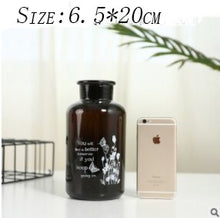 Load image into Gallery viewer, Carlo Hydroponic Bottle Glass Vase
