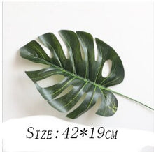 Load image into Gallery viewer, Carlo Hydroponic Bottle Glass Vase
