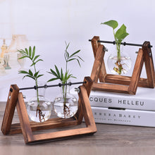 Load image into Gallery viewer, Creative Flower Vases Hydroponic Plant
