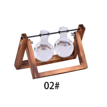 Load image into Gallery viewer, Creative Flower Vases Hydroponic Plant
