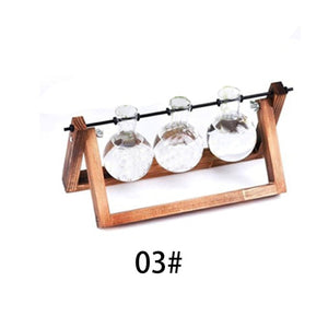 Creative Flower Vases Hydroponic Plant