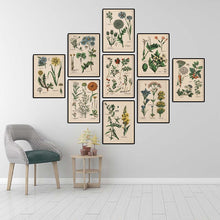 Load image into Gallery viewer, Botanical Collection Vintage Posters
