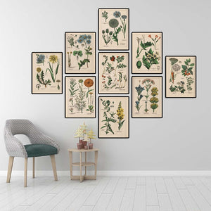 Botanical Collection Vintage Posters