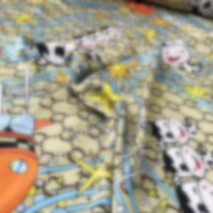 Italian Brand Printed Fabric