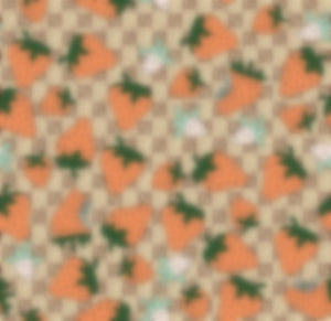 Italian Brand Printed Fabric