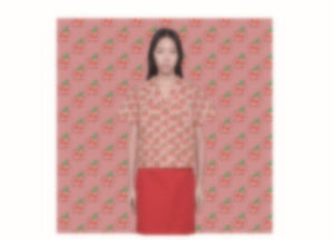 Italian Brand Printed Fabric